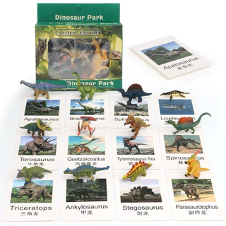 โมเดลไดโนเสาร์ โมเดลสัตว์ โมเดลสัตว์ทะเล 12 ตัว พร้อม Flash Card การ์ดจับคู่โมเดลสัตว์ Montessori Lookmaebaby
