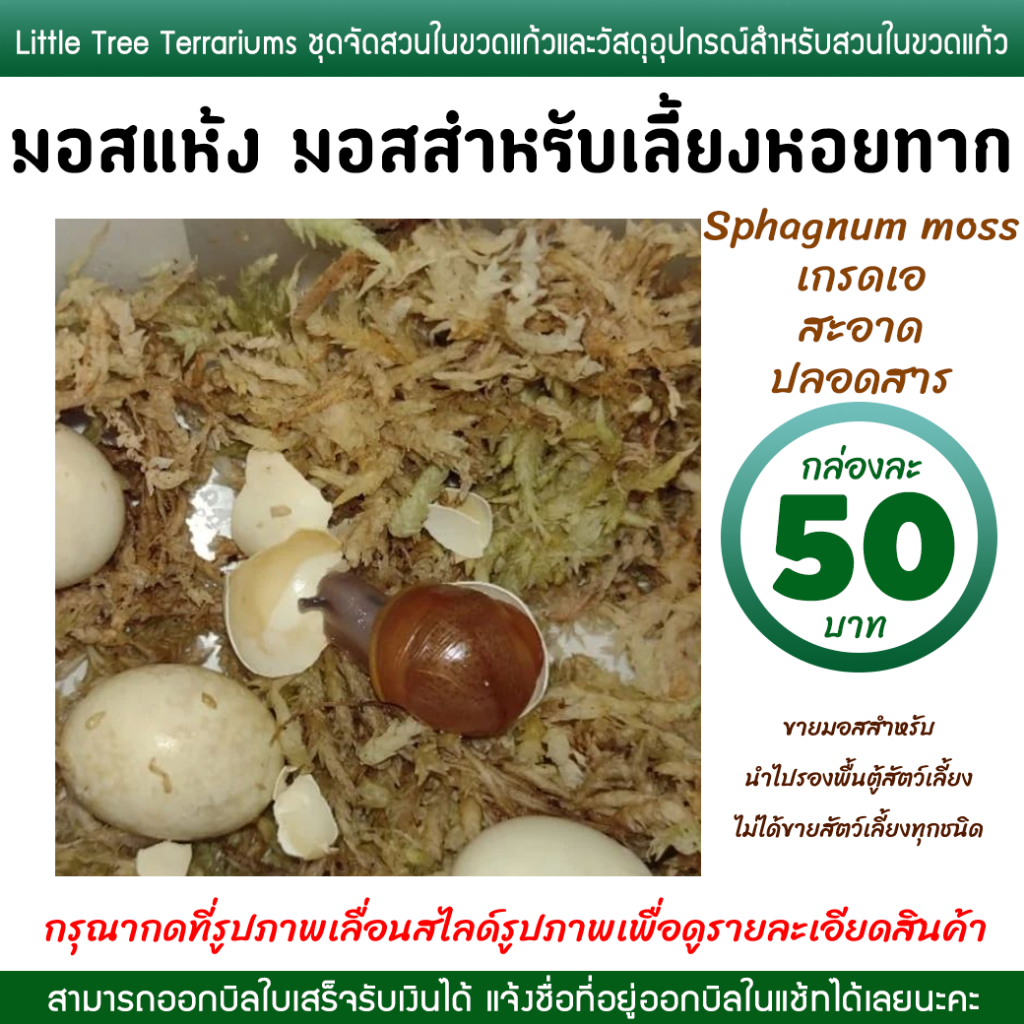 มอสเลี้ยงหอยทาก มอสแห้ง สแฟ็กนั่มมอส Sphagnum moss กล่องละ 50 บาท