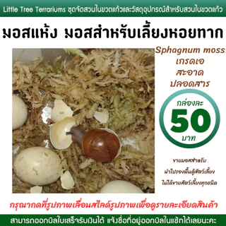 มอสเลี้ยงหอยทาก มอสแห้ง สแฟ็กนั่มมอส Sphagnum moss กล่องละ 50 บาท