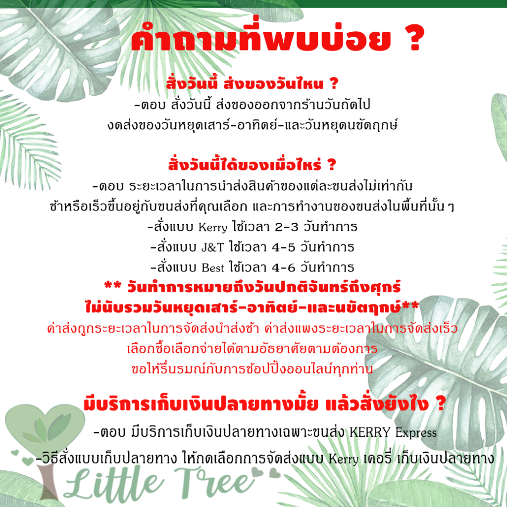 มอสเลี้ยงหอยทาก มอสแห้ง สแฟ็กนั่มมอส Sphagnum moss กล่องละ 50 บาท