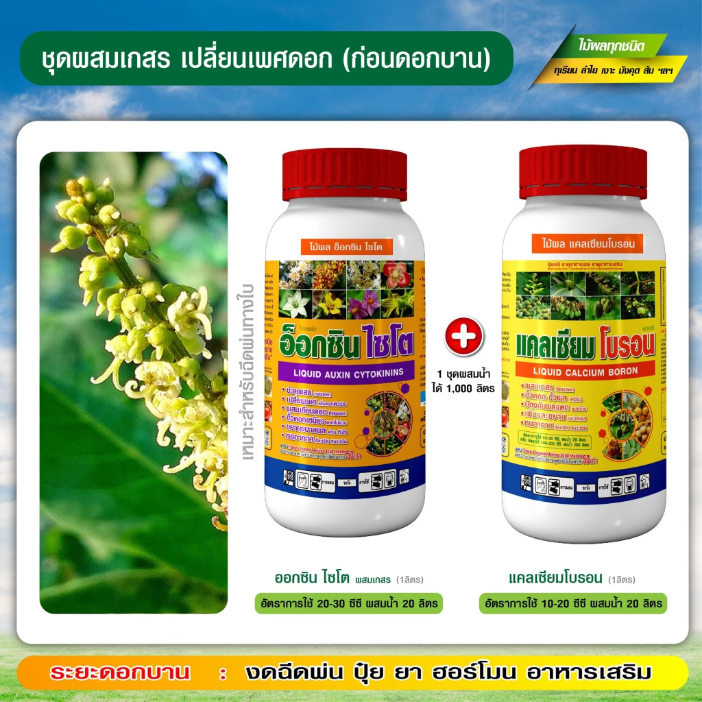 [โปรแกรมเงาะ] ชุดผสมเกสรเงาะ ผสมเกสร ผสมเทียมดอก เปลี่ยนเพศดอก ติดผลดก ขั้วดอก-ผล เหนียว ทนสภาพอากาศ (ชุดขนาด 1+1 ลิตร)