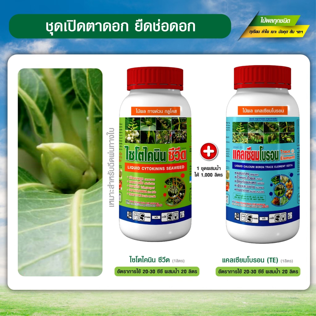 ชุดเปิดตาดอกมะม่วง เปิดตาดอก ออกดอก พร้อมกันทั้งต้น ดอกดก ยืดช่อ ดอกสมบูรณ์ ขั้วเหนียว (ชุดขนาด 1+1 ลิตร)