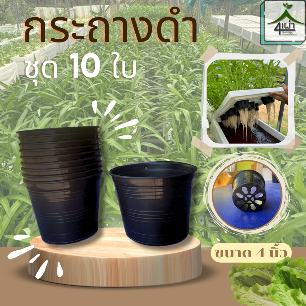 กระถางต้นไม้ ขนาด 4 นิ้ว สีดำ