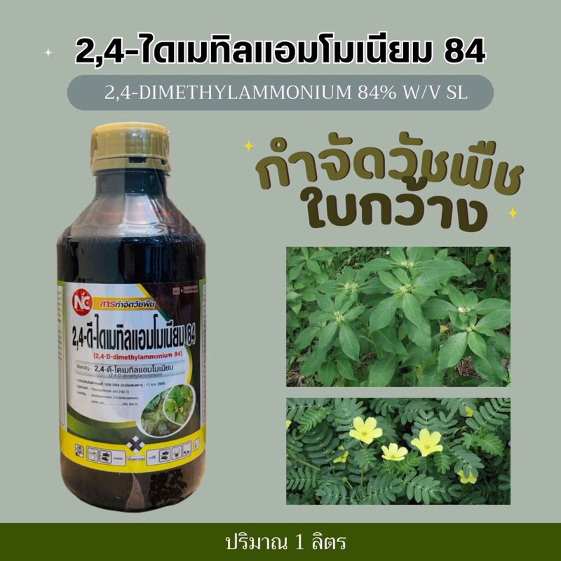 2,4-ดี 24d ทูโฟดี กำจัดวัชพืชใบกว้าง #หมาแดง -1 ลิตร