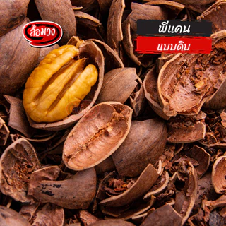 พีแคนดิบ (raw pecan) by ล้อมวง พีแคน ถั่วพีแคน ถั่ว ธัญพืช