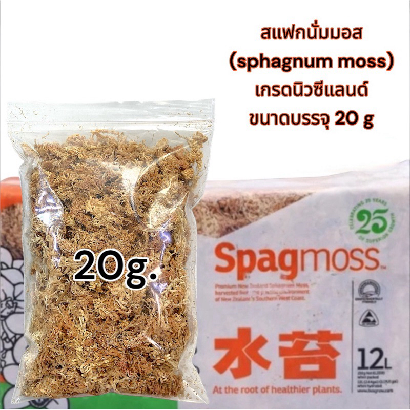 สแฟกนั่มมอส(sphagnum moss)นิวซีแลนด์เกรดAแบ่งขาย