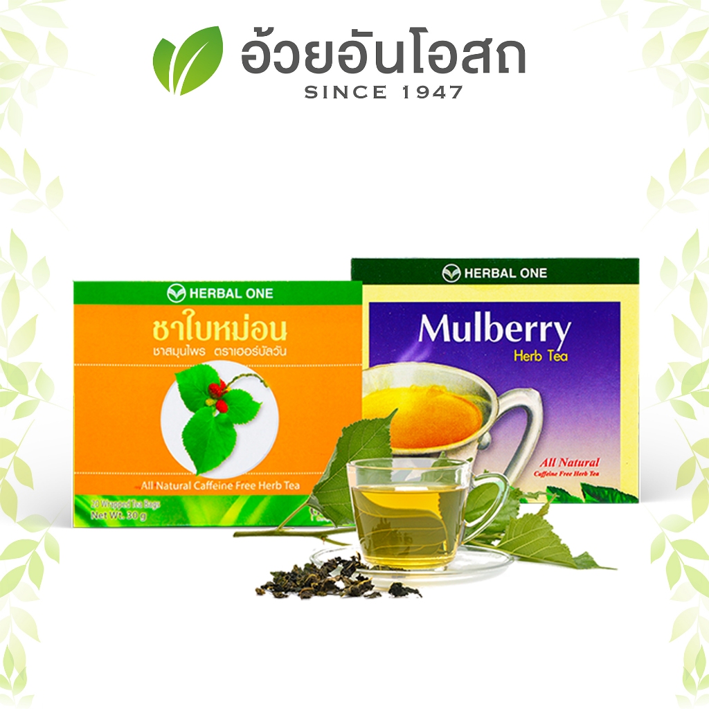 ชาชงใบหม่อน (Mulberry Leaf Tea) อ้วยอันโอสถ / Herbal one