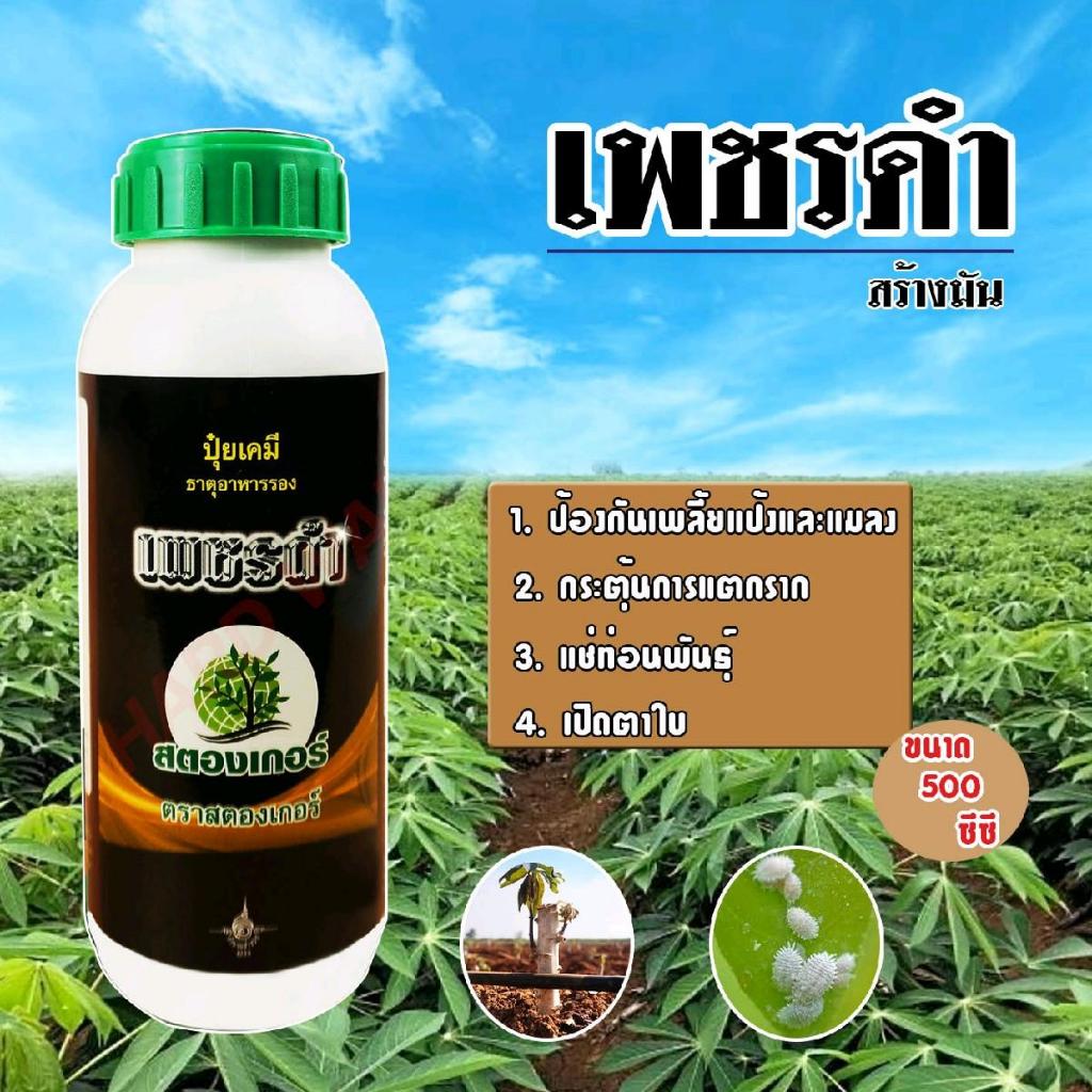เพชรดำยามันสำปะหลัง (ฝาเขียวสูตรแช่ท่อนพันธ์,ฝาทองมันลงหัว)ขนาด 500 cc