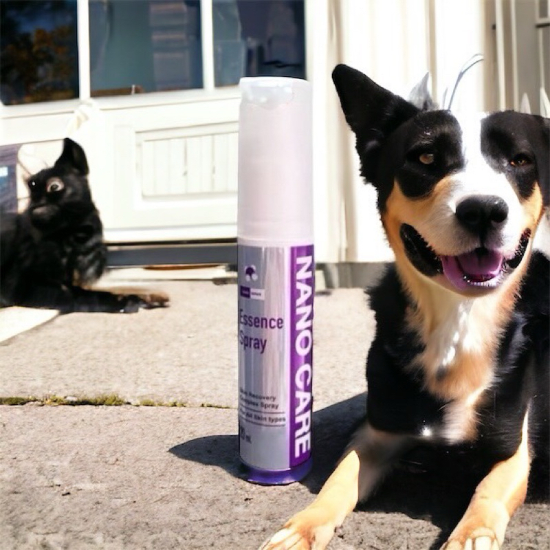 Nano Spray 20 ml Care Essence