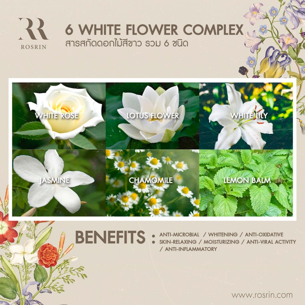 6 White Flower Complex – สารสกัดดอกไม้สีขาว 6 ชนิด ช่วยดูแลปัญหาผิวหมองคล้ำ ให้แลดูสม่ำเสมอ ดูอ่อนกว่าวัย
