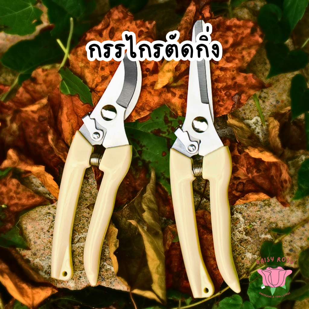 (จากไทย) กรรไกรตัดกิ่ง แต่งกิ่ง ปากตรง ปากโค้ง กรรไกรทำสวน กรรไกรตัดกิ่งไม้ คีมตัดกิ่ง กรรไกรตัดแต่งกิ่ง