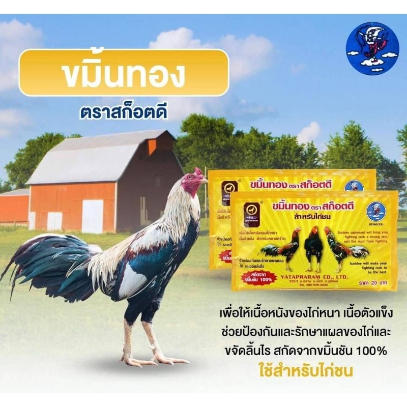 (แพ็ค2ซอง) ขมิ้นทอง ตรา สก็อตดี สำหรับไก่ชน สกัดจากขมิ้นชัน 100%