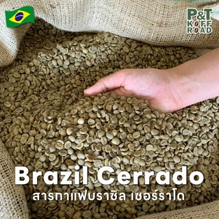 [💥กระสอบ 5 kg💯] สารกาแฟ Brazil Cerrado NY2 Green Bean . สั่งซื้อเกิน 20kg. ทักแชท PT.KoffRoad