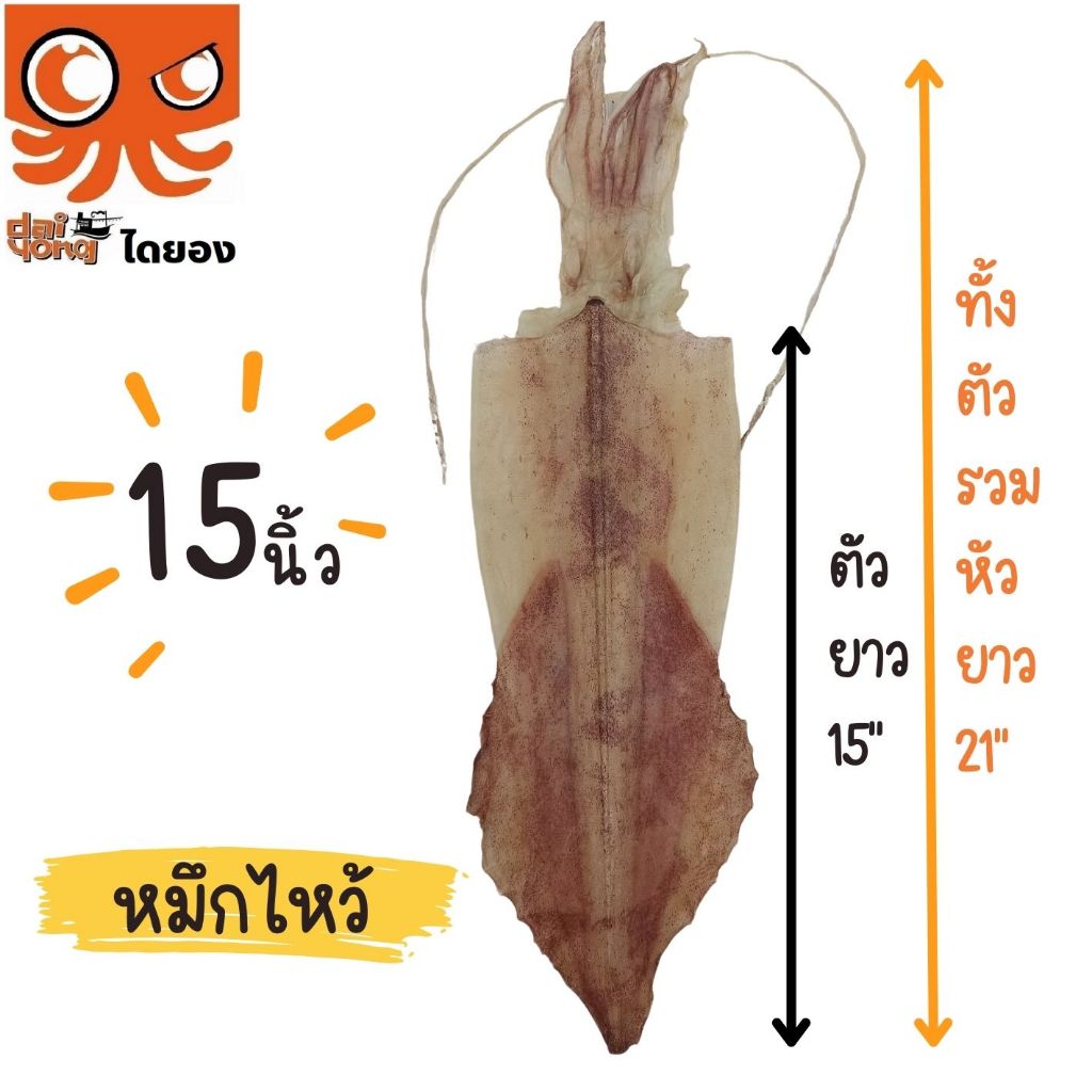 หมึกไหว้ หมึกหนังผ่า ตัวใหญ่ยาว 15 นิ้ว (บรรจุ 1-2 ตัว น้ำหนัก 130-250 กรัม) มีสินค้าจริง ส่งไว