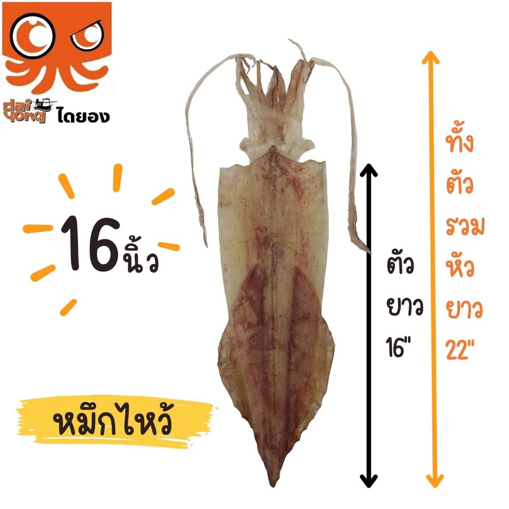 หมึกไหว้ หมึกหนังผ่า ตัวใหญ่ยาว 15 นิ้ว (บรรจุ 1-2 ตัว น้ำหนัก 130-250 กรัม) มีสินค้าจริง ส่งไว