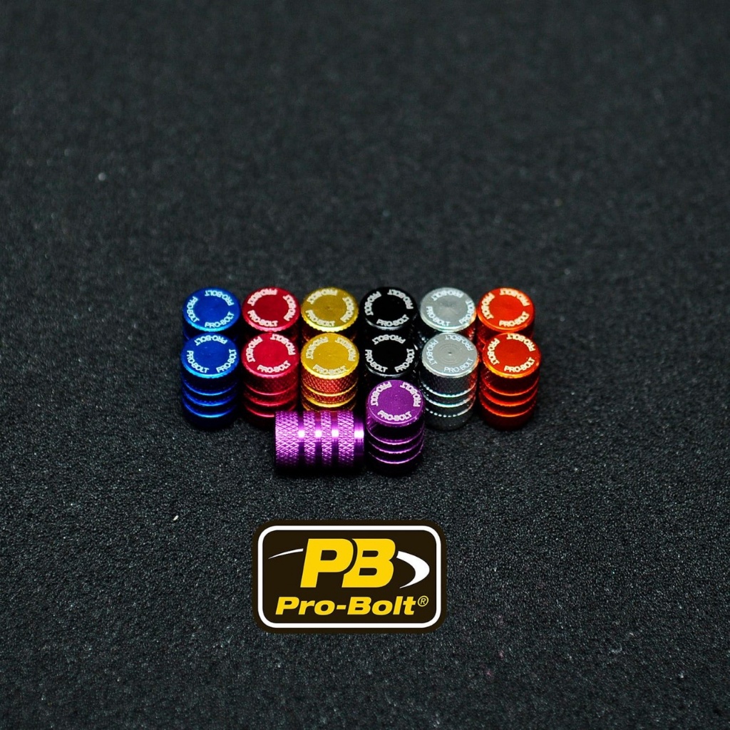 PROBOLT จุกปิดเติมลมยางอลูมิเนียม