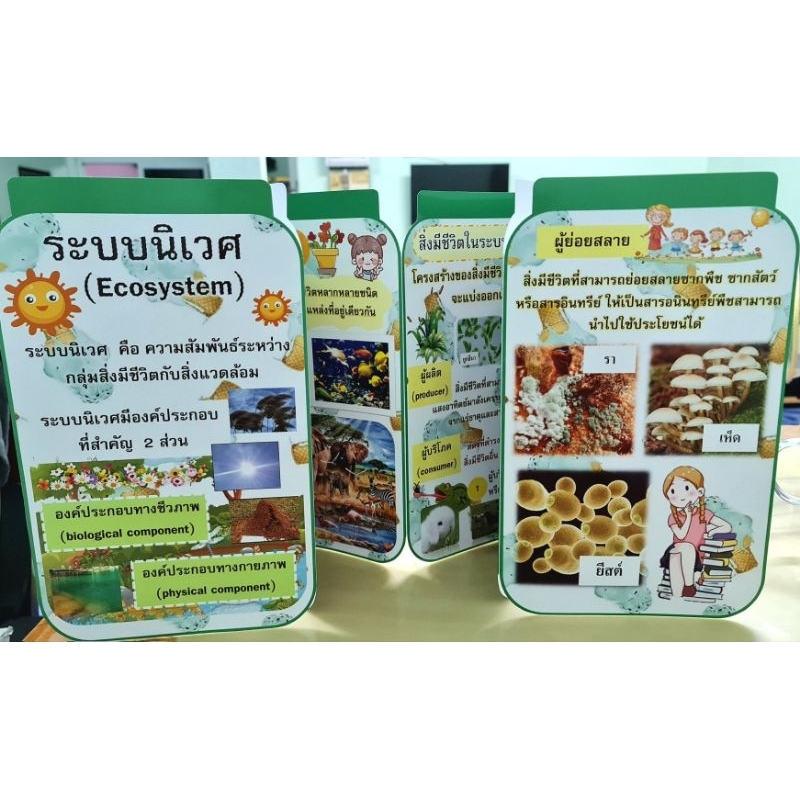 สื่อการสอนวิทยาศาสตร์สิ่งมีชีวิตในระบบนิเวศ