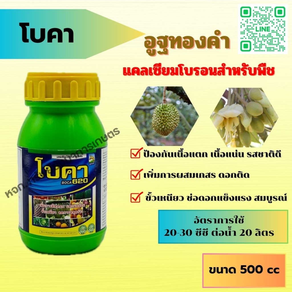 โบคา แคลเซียม โบรอน อูฐทองคำ 500 ซีซี เพิ่มการติดดอก ผลอ่อน ขั้วเหนียว ฮอร์โมนพืช ลดการหลุดร่วง