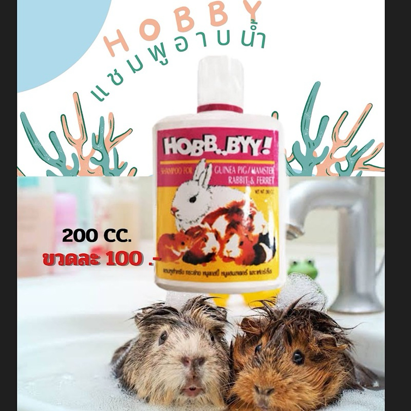 Hobbyแชมพูอาบน้ำแกสบี้หนูตะเภาหนูขวัญ