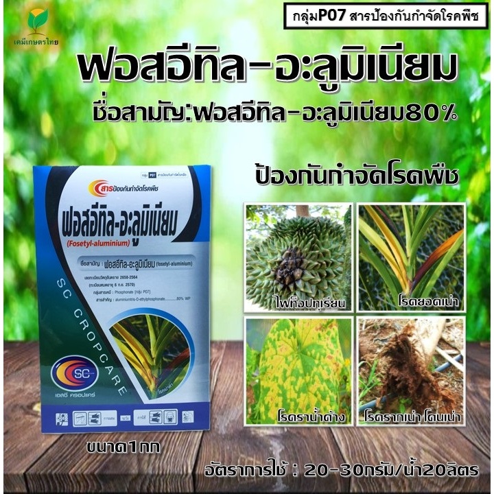 ฟอสอีทิล-อะลูมิเนียม80%(1 กิโลกรัม)สารป้องกันกำจัดเชื้อรารากเน่าโคนเน่า ไฟท็อป โรคยอดเน่า ราน้ำค้าง#ฟอสอีทิล-อะลูมิเนียม