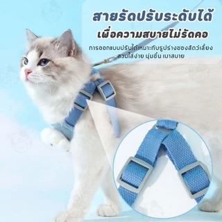 สื้อรัดอก พร้อมสายจูง เกรดพรีเมี่ยมS/M/L/XL สายจูง สายจูงสัตว์เลี้ยง เสื้อหมา เสื้อแมว สายจูงแมว VP