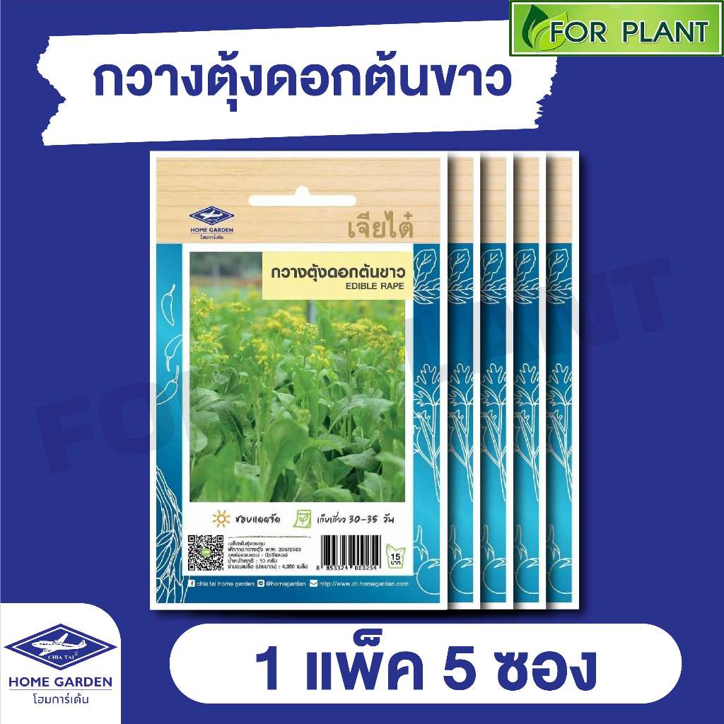 ผักซอง เจียไต๋ CT15 เมล็ดพันธุ์ พันธุ์ผัก กวางตุ้งดอกต้นขาว บรรจุแพ็คล่ะ 5 ซอง ราคา 43 บาท