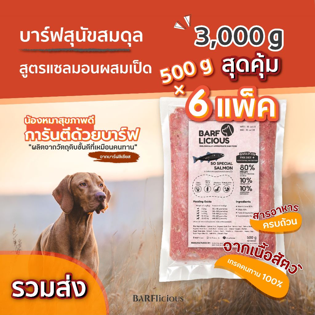 บาร์ฟสุนัขสมดุลแช่แข็ง BARF สูตรแซลมอนผสมเป็ด SO SPECIAL SALMON แพ็ก 500 กรัม 6 ห่อ(รวม 3,000 กรัม)