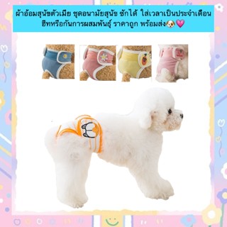MG-876 ผ้าอ้อมสุนัขตัวเมีย ชุดอนามัยสุนัข ซักได้ ใส่เวลาเป็น…