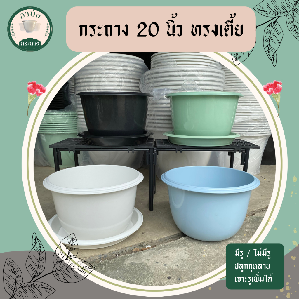 กระถางต้นไม้ 20 นิ้ว ทรงเตี้ย กระถางต้นไม้ใบใหญ่