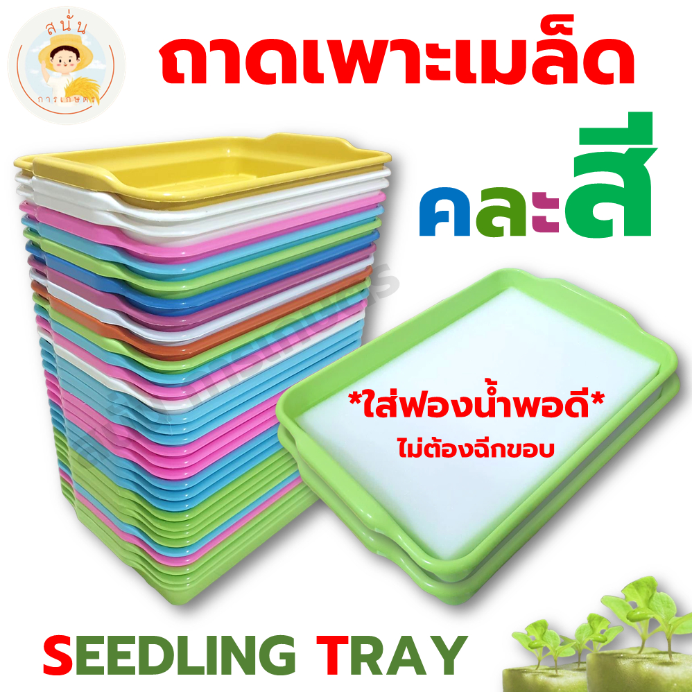 (คละสี) ถาดเพาะเมล็ด ถาดเพาะต้นกล้า พลาสติกหนา เหนียว เกรด A ขนาดพอดีกับ ฟองน้ำ ปลูกผักไฮโดรโปนิกส์