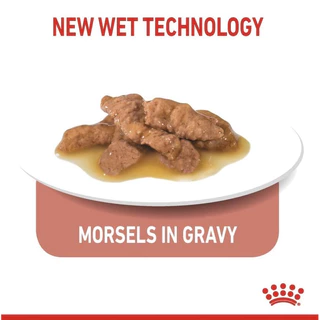 [ 1 โหล INDOOR แมวโต ] Royal Canin อาหารแมว INDOOR ชนิดเปียก จำนวน 1 โหล