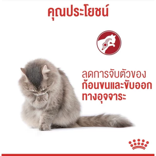 [Hairball 4KG] Royal Canin อาหารแมว ชนิดเม็ด Hairball ดูแลปัญหาก้อนขน ขนาด 4KG