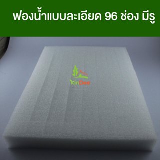 ฟองน้ำเพาะเมล็ดผักไฮโดรเนื้อละเอียด มีช่องเพาะเมล็ดอย่างดีซึ…