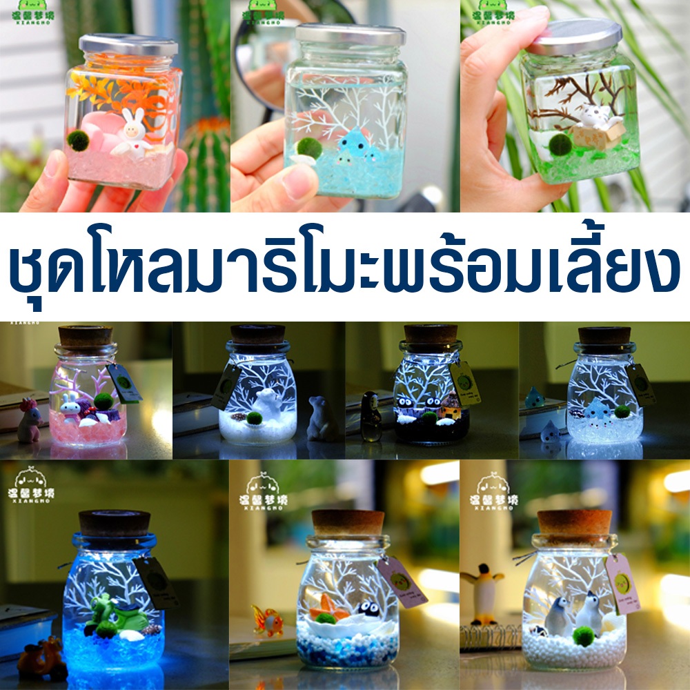 ชุดโหลเลี้ยงสาหร่ายมาริโมะ อุปกรณ์ครบชุดพร้อมเลี้ยง ฟรีของแถม มีโหลให้เลือก10แบบ สินค้าส่งจากไทย