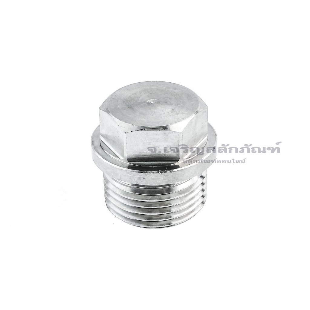 ปลั๊กอุดสแตนเลส ทรงมีบ่าหัวเหลี่ยม Stainless Steel Plug Bolt ขนาด M10 M12 M14 M16 M18 M20 M22 M24 M27 (แพ็คละ 1 ตัว)