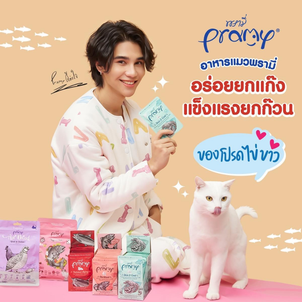 [48ซอง] PRAMY พรามี่ อาหารเปียกแมว สูตร Functional ในเจลลี่ สำหรับแมวโต1ปี+ ขนาด 70 กรัม