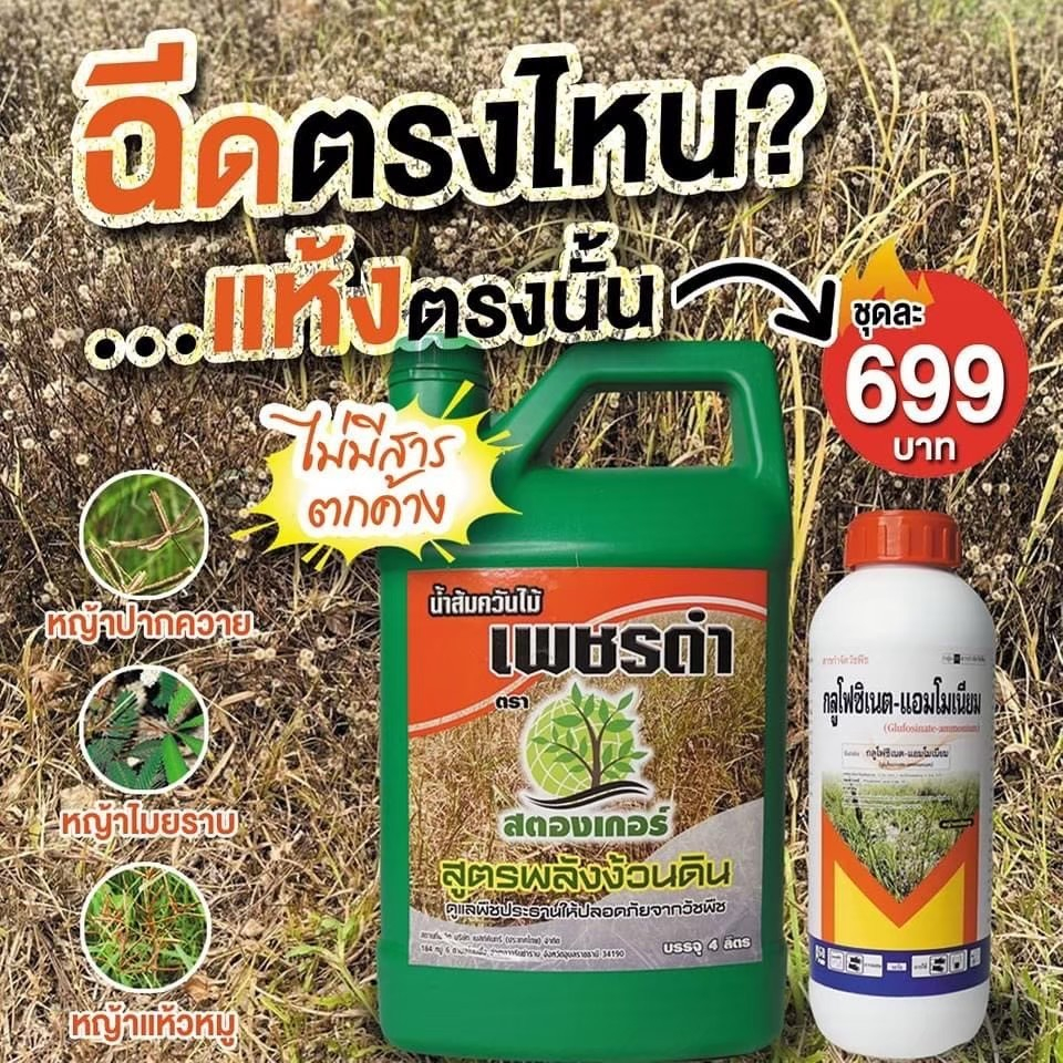 ปลอดภัยต่อคนและสัตว์เลี้ยง ปราบวัชพืช เพชรดำพลังง้วนดิน1แกกลอนแถมกลูโฟซิเนต1ลิตร ผลิตจากธรรมชาติ100%