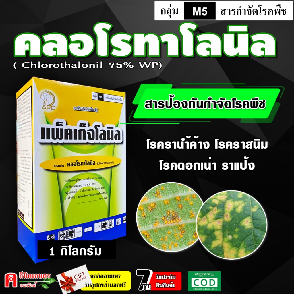 คลอโรทาโลนิล 75 % ( 1 กิโลกรัม )( WP ) สารป้องกันและกำจัดโรคพืช เชื้อรา โรคใบจุด โรคราน้ำค้าง โรคแอนแทรคโนส