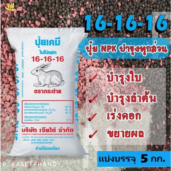 16-16-16​ กระต่าย​(เม็ดฟ้า)แบ่งบรรจุ 5 Kg. ปุ๋ยNPK บำรุงทุกส่วนใบ ลำต้น ​เพิ่มราก​ เร่งดอก เพิ่มหวาน​ ขยายผล +แคลเซียม3%