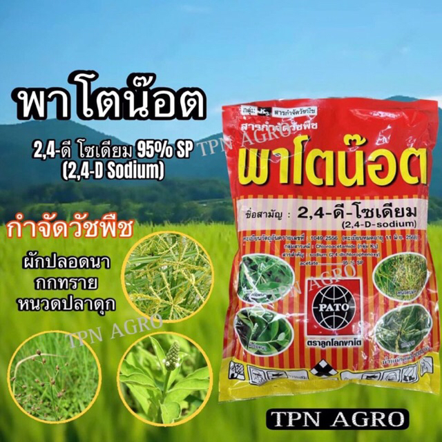 พาโตน๊อต (2,4-ดี-โซเดียม 95% SP) 1kg. สารกำจัดวัชพืช