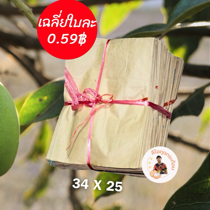 ถุงห่อมะม่วง ถุงห่อกระท้อน ถุงห่อผลไม้ ขนาด 25*34 ซม. 1แพ็คมี100ใบ - รูปที่ 2