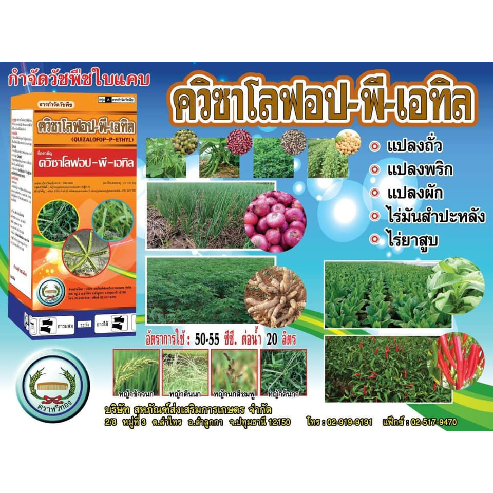 ควิซาโลฟอป -พี-เอทิล 5% 1 ลิตร ตราหวีทอง ใช้กับวัชพืชใบแคบ สารเดียวกับแพนเทอร่า