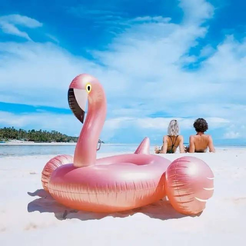 ห่วงยางแฟนซี แพยาง Inflatable giant rosé goal flamingo