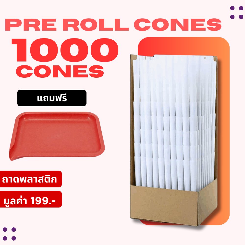 [พร้อมส่งจากไทย] กระดาษโรล Pre Rolled Cones white 1000 cones สีขาว แถมฟรี ถาดพลาสติก Pre roll cones กระดาษโรลพร้อมกรอง