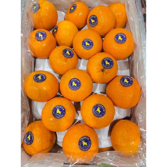 รูปภาพ 5