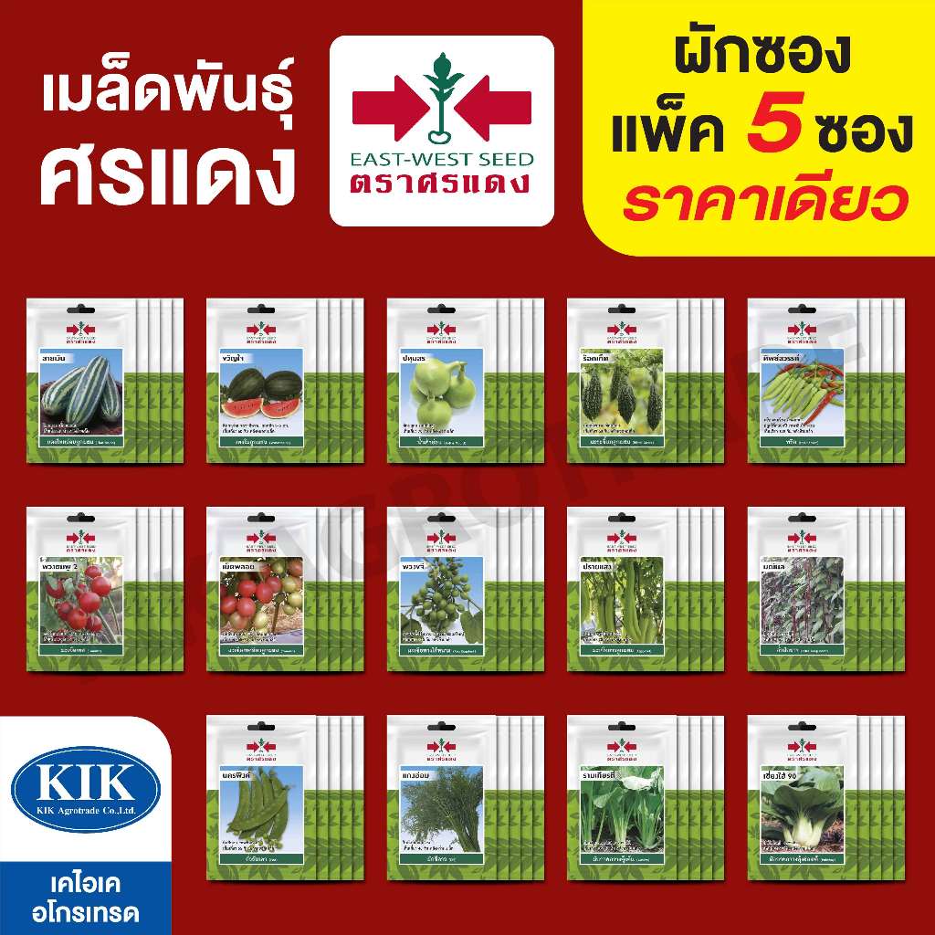 ขายปลีก ผักซอง เมล็ดพันธุ์ พันธุ์ผัก ศรแดง VP3 บรรจุแพ็คละ 5ซองราคา 45 บาท(คละชนิดได้ กดใส่ตะกล้าก่อนกดยืนสั่งซื้อ)