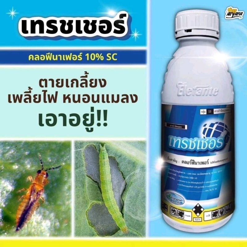 ึคลอฟีนาเพอร์ขนาด1ลิตรหนอนหนังเหนียว หนอนเจาะ หนอนดื้อยา แมวทองคำ/ไอยรา