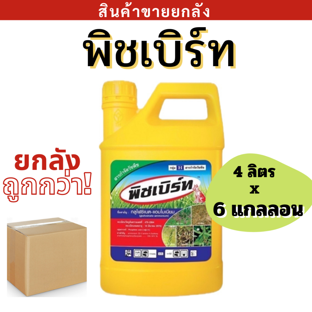 ยกลัง พิชเบิร์ท 4 x 6 แกลลอน 
( กลูโฟซิเนต - แอมโมเนียม ) สารกำจัดวัชพืชใบแคบ และใบกว้าง ชนิดเผาไหม้