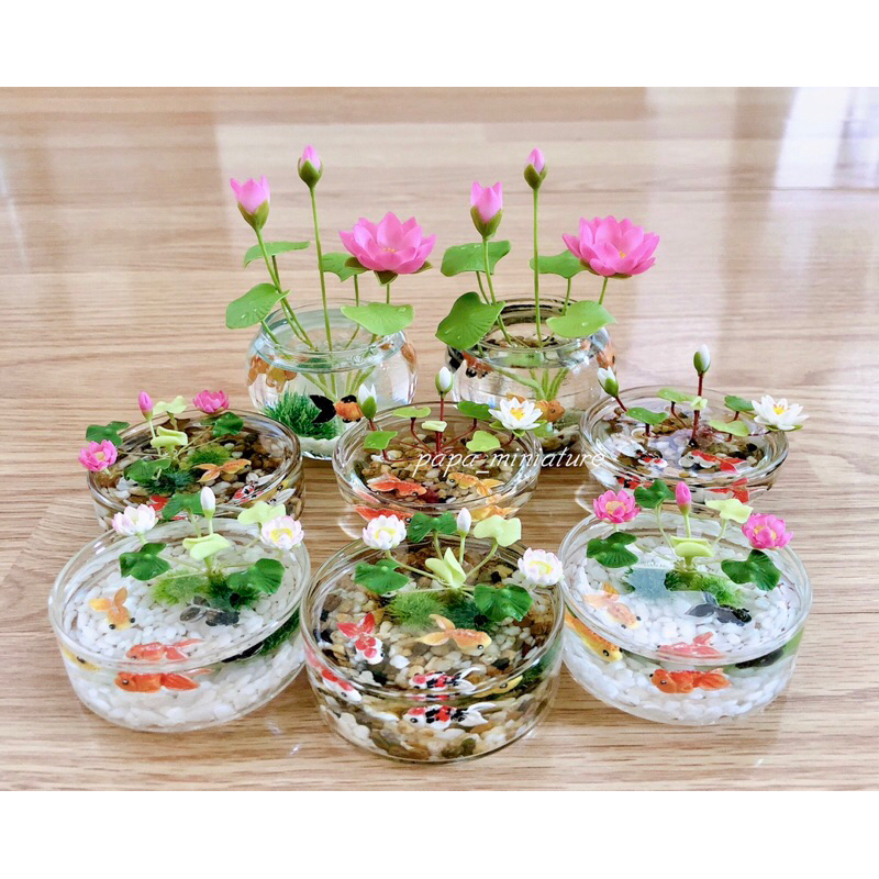 อ่างแก้วกอบัวจิ๋ว ปลาคร๊าฟจิ๋ว เสริมดวงเสริมฮวงจุ้ย กว้าง 6 cm. สูง 2 cm.