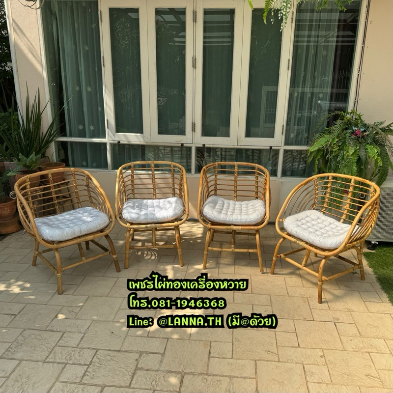 เก้าอี้หวายแท้ เก้าอี้คาเฟ่ แถมเบาะ พร้อมส่ง MAYA furniture